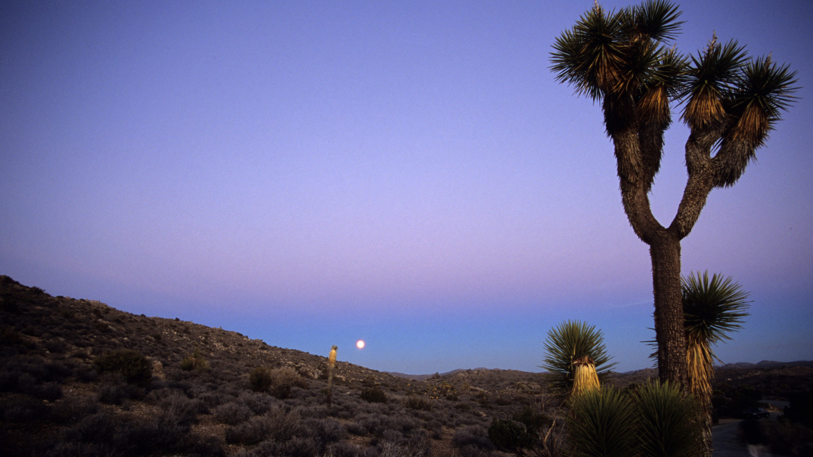 Abundant Natural Resources Sonoran Institute