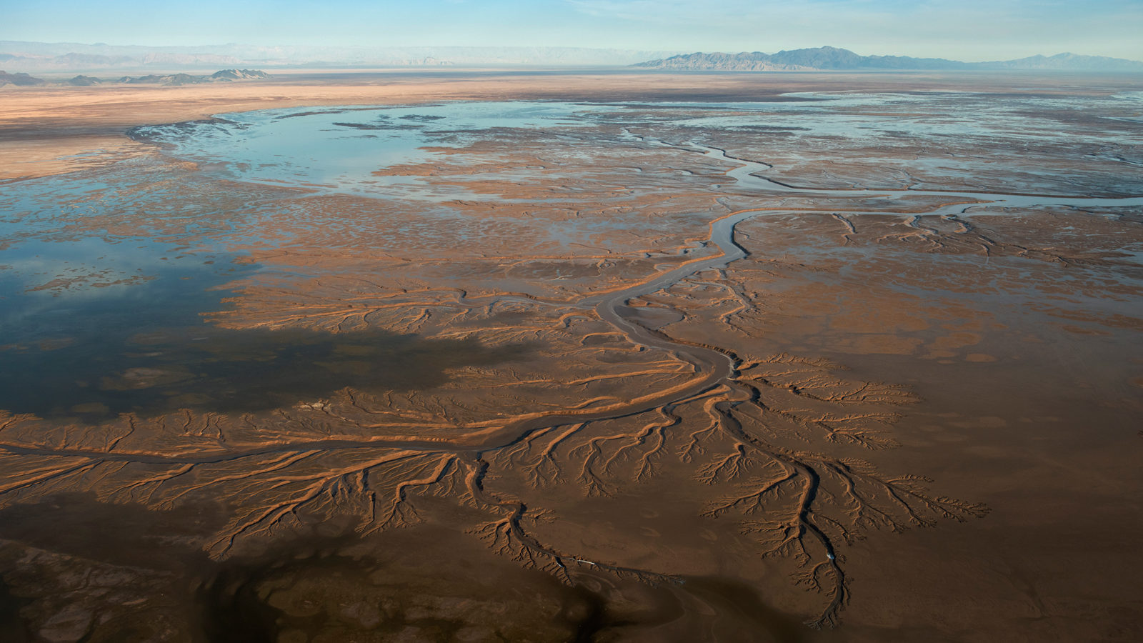 Restoring the Colorado River Estuary