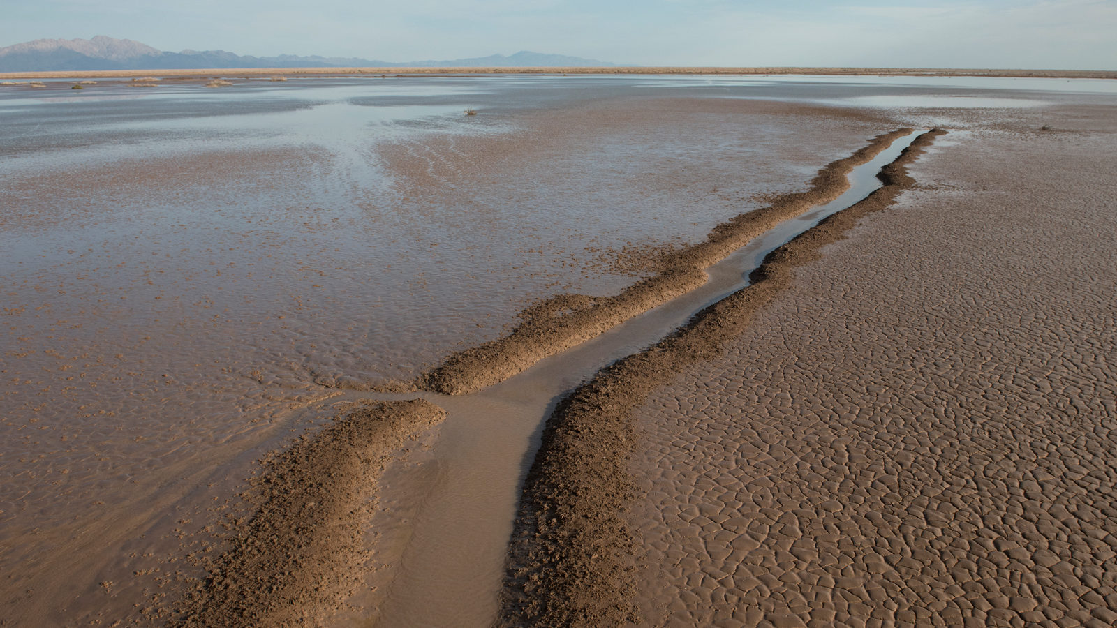 Restoring the Colorado River Estuary