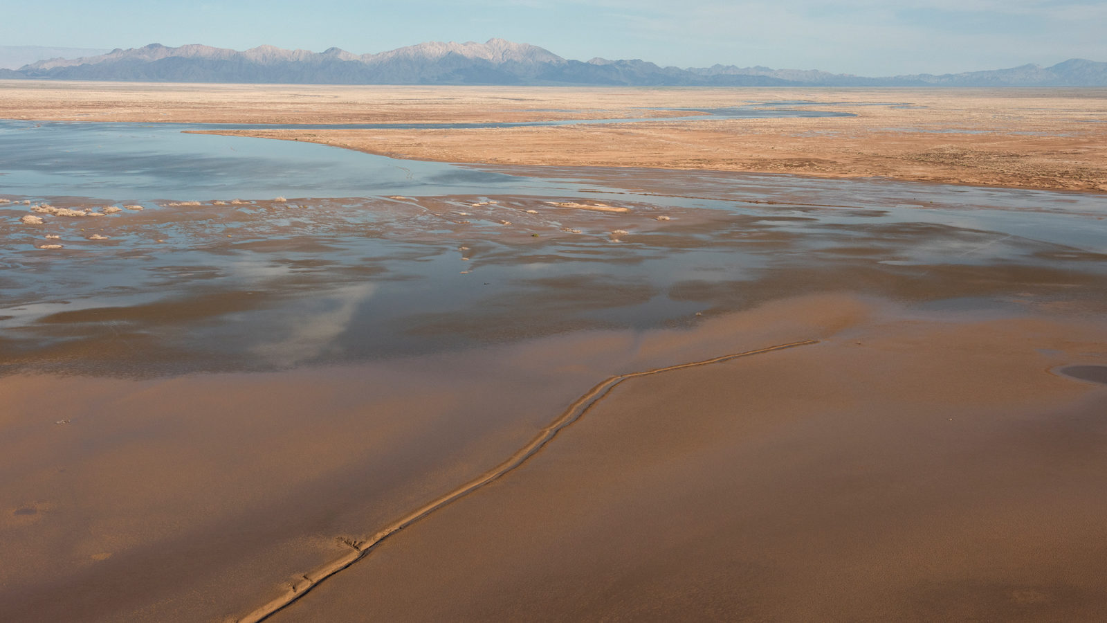 Restoring the Colorado River Estuary