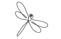 Line drawing of a dragonfly.