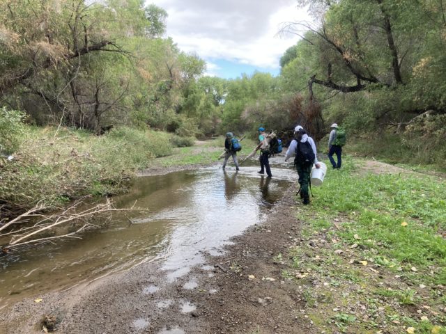 Biologists on their way to capture Gila topminnow for reintroduction.
