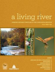 Living River - Charting Wetland Conditions of the Lower Santa Cruz River 2015 Water Year
