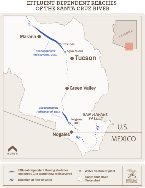 Map of effluent-dependent reaches of the Santa Cruz River in Southern Arizona and Northern Sonora