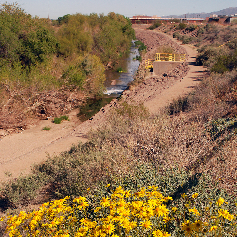 Water for the Santa Cruz River Ecosystem