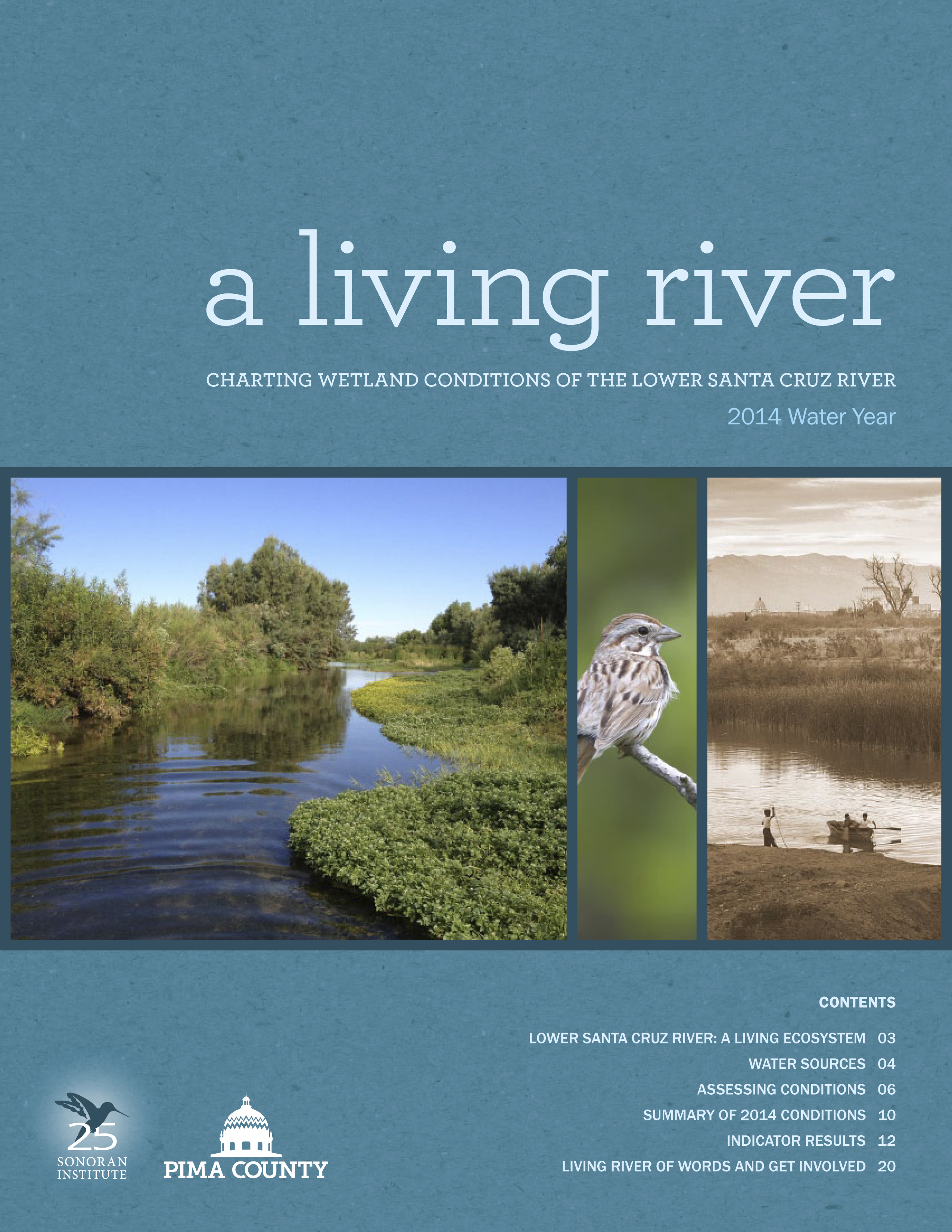 living-river-charting-wetland-conditions-of-the-lower-santa-cruz-river-2014-water-year-06052015-1